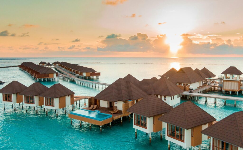 8342699 maldives